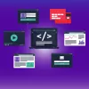 Development & IT