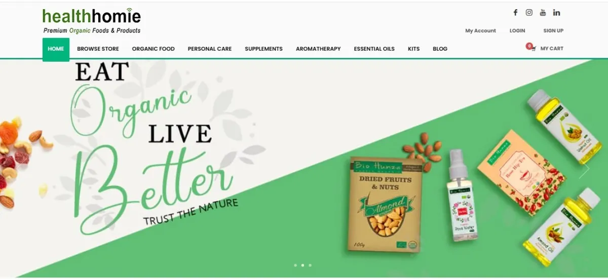 design and develop a modern, responsive and SEO-optimized website for your business