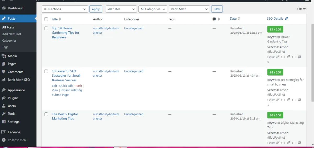 provide on page and technical SEO for your website ranking