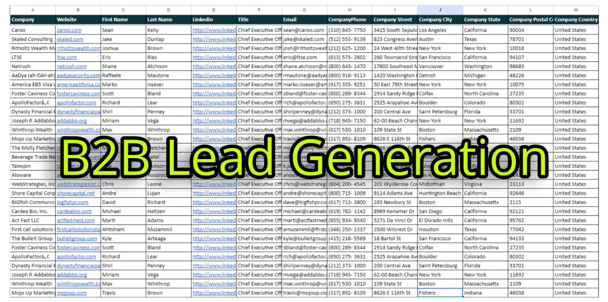 I will do b2b lead generation, business leads, LinkedIn leads, and email list building