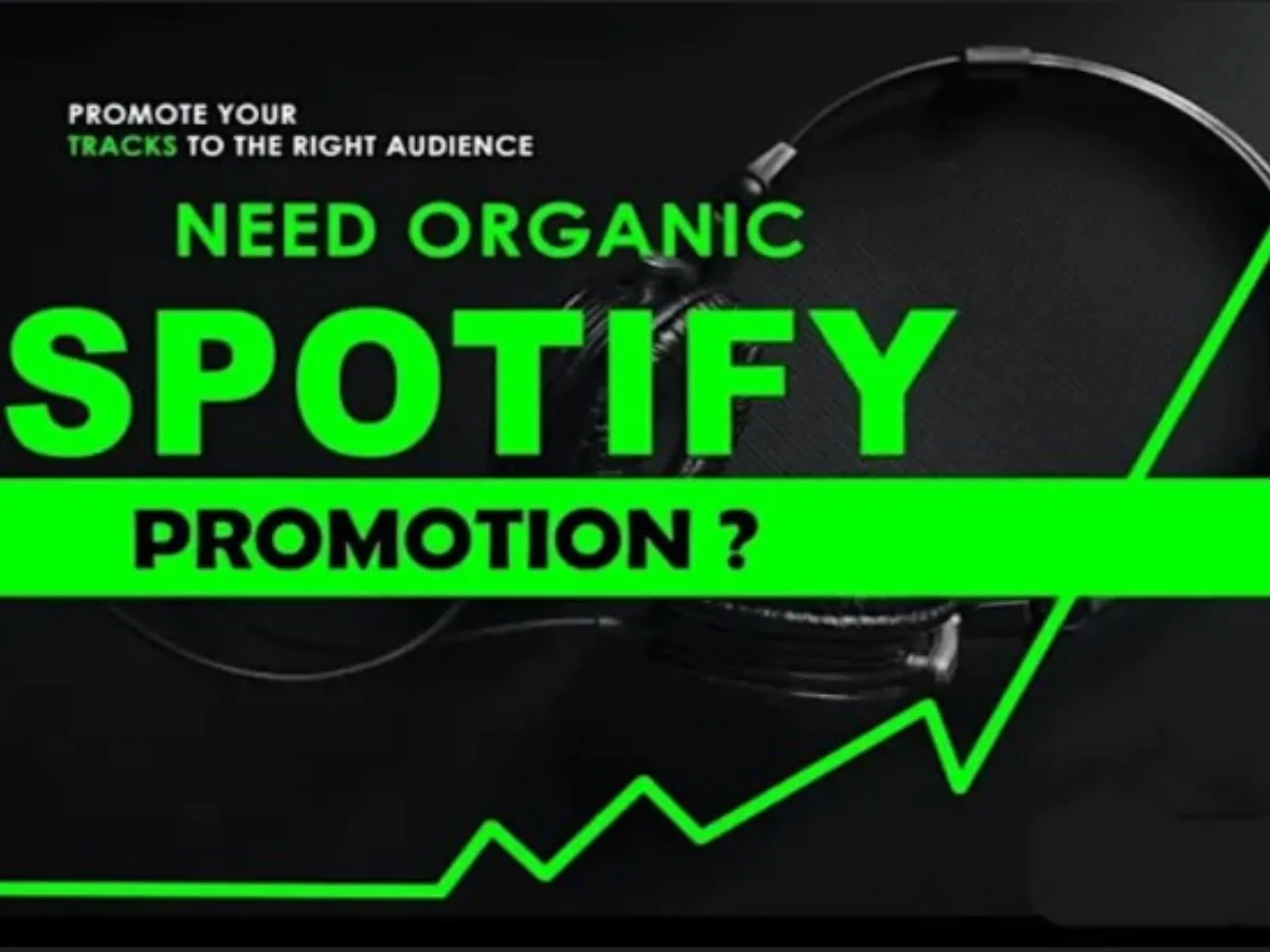 I will do professional Spotify music promotion