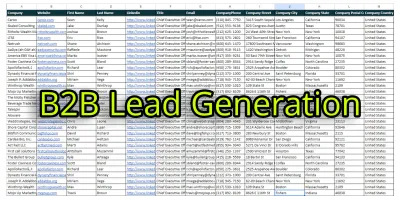 I will do b2b lead generation, business leads, LinkedIn leads, and email list building