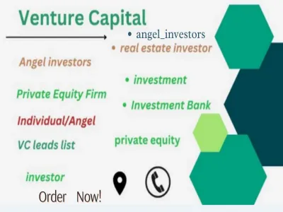 Give You 12,000 Venture Capital and Angels investors Leads Database