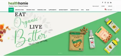 design and develop a modern, responsive and SEO-optimized website for your business