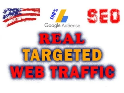 I will drive targeted real USA website traffic with SEO