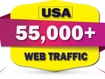 Traffic From USA