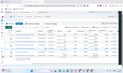 facebook instagram meta ads campaign manager, fb advertising, marketing expert