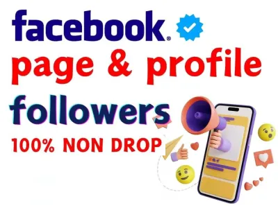 You will get Non Drop Facebook Followers