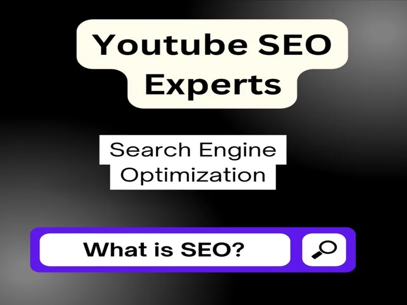  be your certified youtube channel manager and video SEO expert