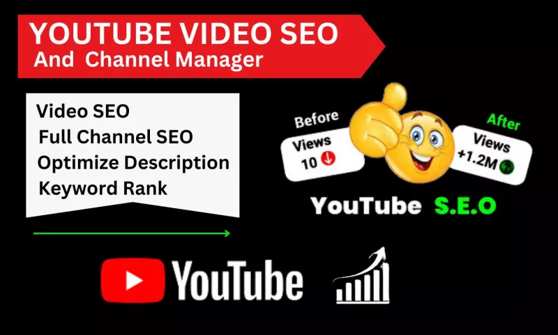 I will do Boost your YouTube success with Expert Video SEO and Account Management