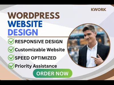I will build WordPress website design redesign and development 