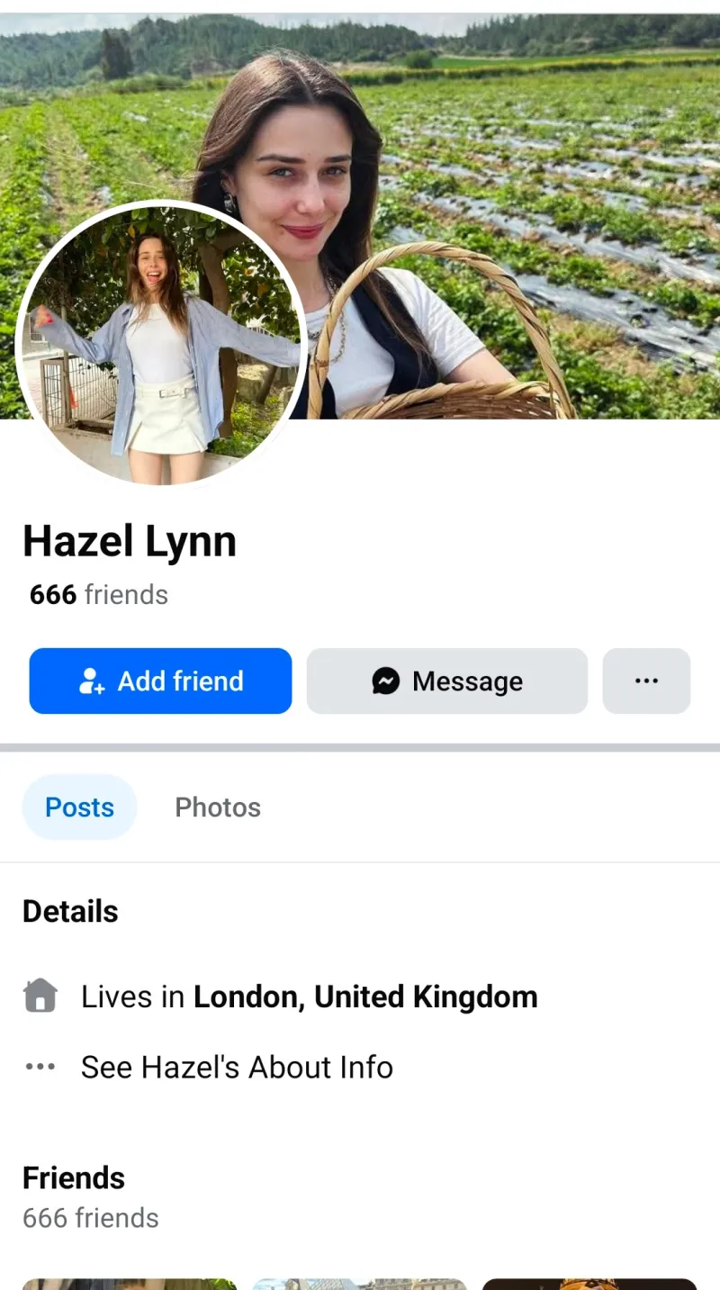 Professionally Create Facebook Profile and setup Business Pages 