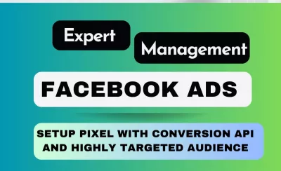 setup facebook and instagram ads campaign, run shopify fb advertising
