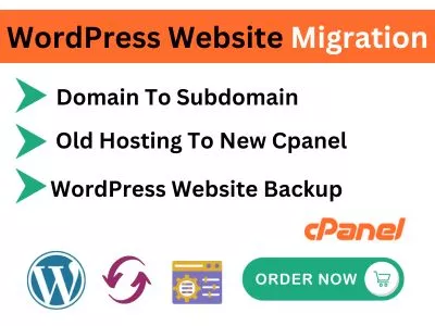 I will migrate WordPress website domain transfer and website backup