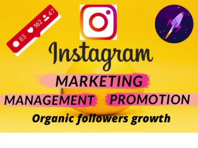 I will do instagram marketing or promotion for organic growth