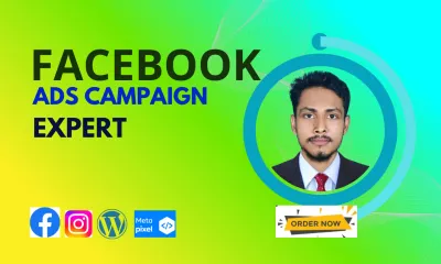 create and manage high converting facebook ad campaign ads for leads and sales