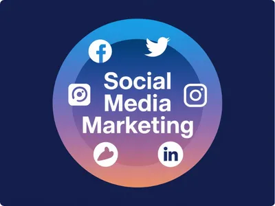 be your social media marketing manager and content creator