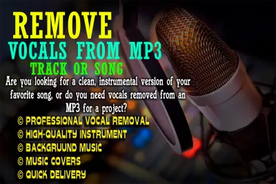 I will remove vocals from your mp3 track or song
