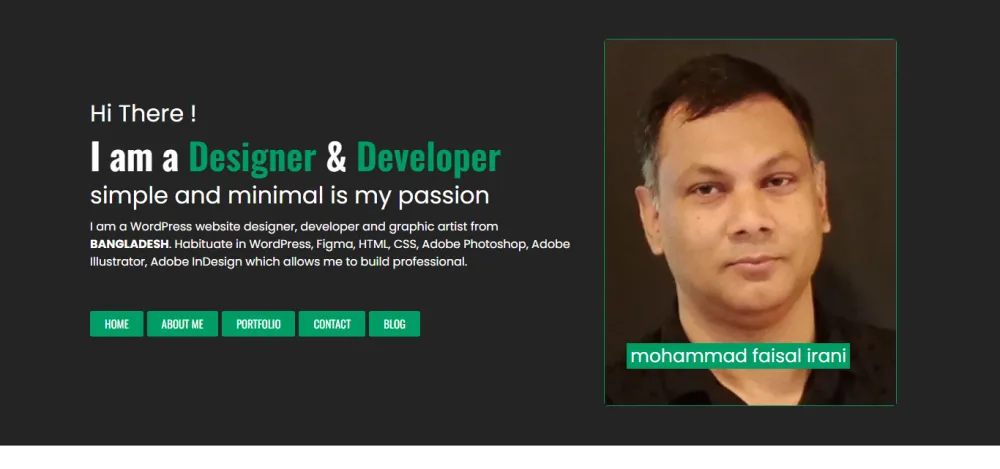 Portfolio Website (Website Designer)