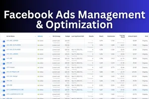 Facebook Ads Management & Optimization
